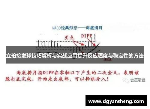 立拍接发球技巧解析与实战应用提升反应速度与稳定性的方法
