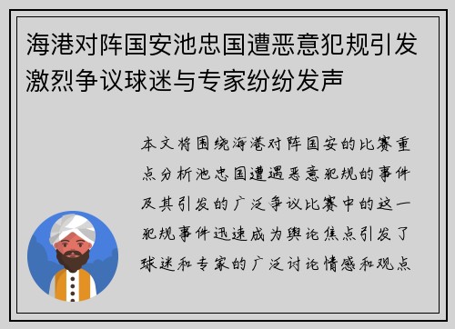 海港对阵国安池忠国遭恶意犯规引发激烈争议球迷与专家纷纷发声