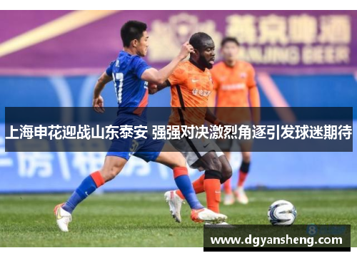 上海申花迎战山东泰安 强强对决激烈角逐引发球迷期待