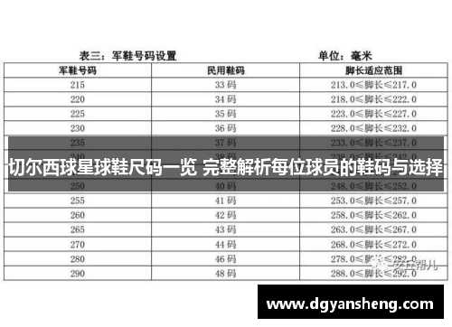 切尔西球星球鞋尺码一览 完整解析每位球员的鞋码与选择