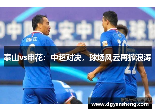 泰山vs申花：中超对决，球场风云再掀浪涛