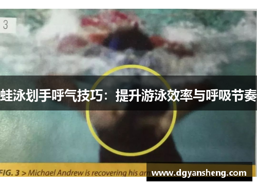 蛙泳划手呼气技巧：提升游泳效率与呼吸节奏