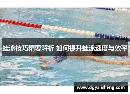 蛙泳技巧精要解析 如何提升蛙泳速度与效率