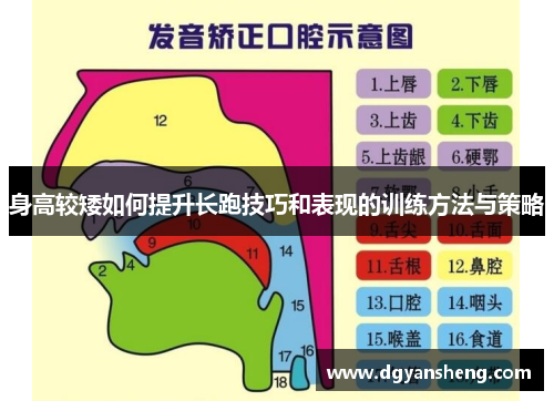 身高较矮如何提升长跑技巧和表现的训练方法与策略